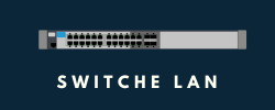 Switche LAN